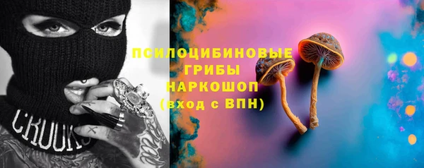 ECSTASY Белокуриха
