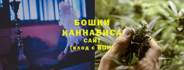 ECSTASY Белокуриха