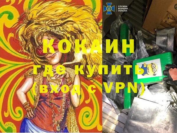 ECSTASY Белокуриха