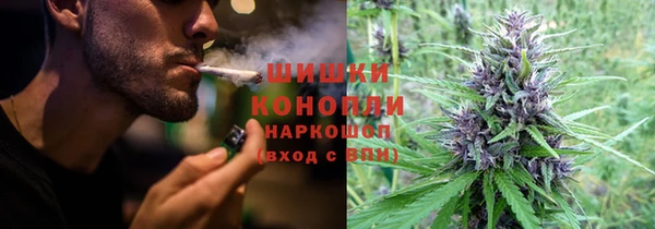 мдпв Пестово